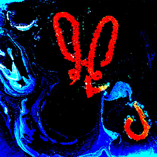 Scylla and Charybdis, ancient monsters of abstract code