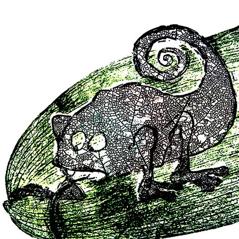 skeleton leaf chameleon etching